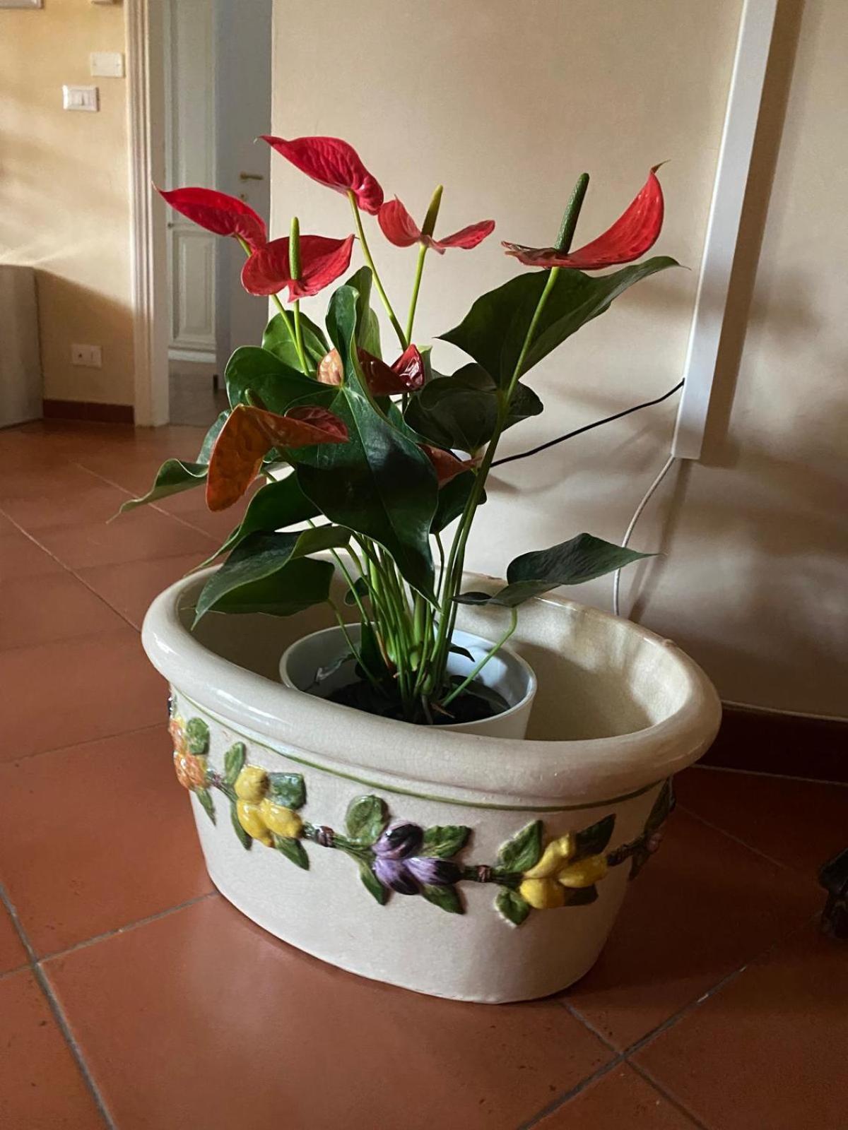 Appartamento Magnolia Mercatale Val Di Pesa Екстериор снимка